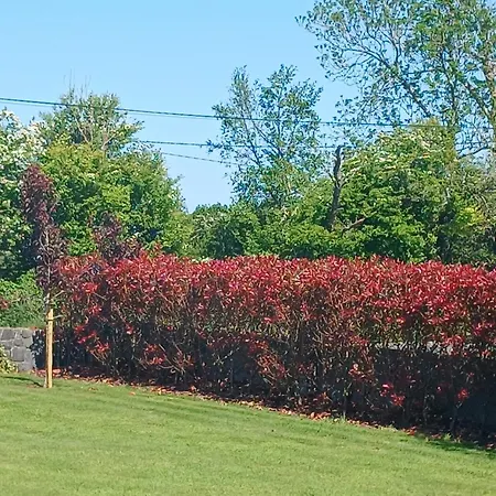 Apartment Basic, Warm, Cosy, Private Little Caherphuca