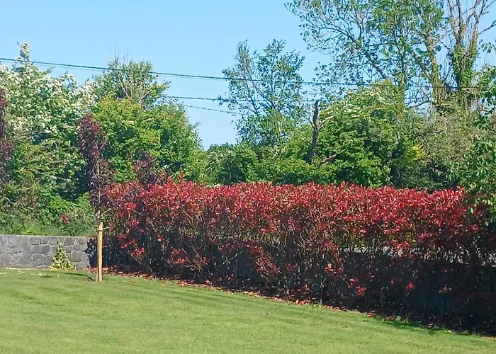 Appartement Basic, Warm, Cosy, Private Little Caherphuca